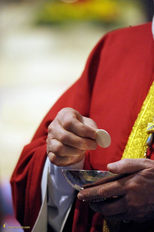 Nom de l'image : D30058807_1_(c)Norbert-JUNG — Description :